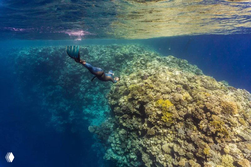 Дыхательные техники для более продуктивного года