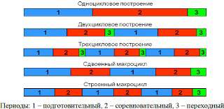 Цветные линейные диаграммы периодизации: одно-, двух- и трехцикловое построение с выделением подготовительного, соревновательного и восстановительного периодов.