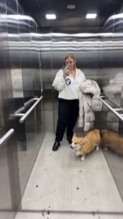 Полнотелое фото автора в лифте в белом худи, рядом корги на полу; видно посадку худи в полный рост и общий образ при примерке.