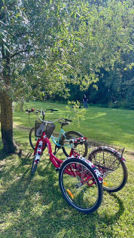 Прокатные трёхколёсные велосипеды на зелёной лужайке в Мещерском лесу: ярко-красные рамы, широкие сиденья и чувство безопасности для неспешных прогулок.