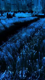 Зал с низко расположенной светящейся «травой» или нитями, голубо‑синее свечение и силуэты посетителей создают эффект бесконечности пространства.