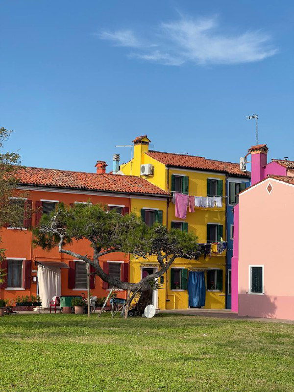 Пестрые фасады домов с зелёной лужайкой и деревьями, яркие оттенки зданий на острове Бурано в солнечный день, уютный дворик у дома.