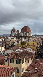 Панорамный вид на крыши Флоренции с куполом Санта Мария дель Фиоре на фоне холмов и пасмурного неба — городской силуэт и домики.