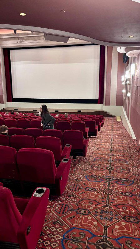 Просмотровый кинозал с плотными бархатными красными креслами, экраном и узорчатым ковровым покрытием, атмосфера классического кинотеатра.