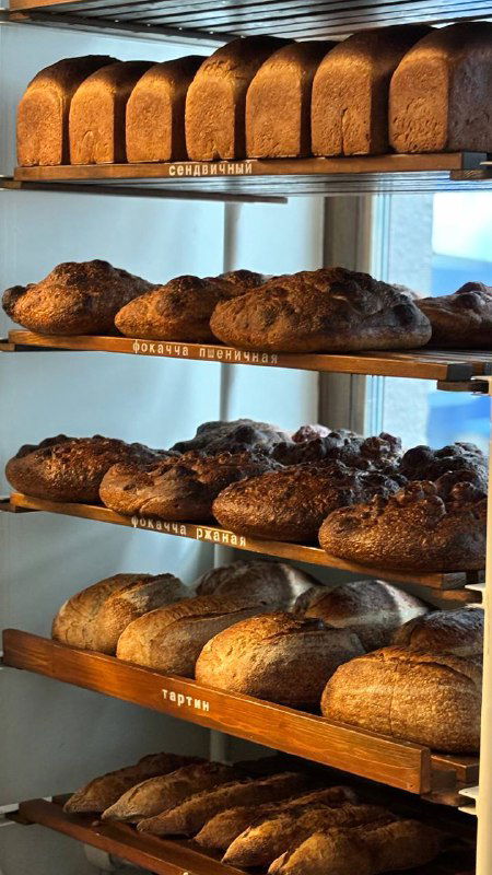 Полки с караваем и буханками хлеба в витрине пекарни, разнообразие сортов и золотистые корки, магазинная атмосфера внутри Masa Madre.