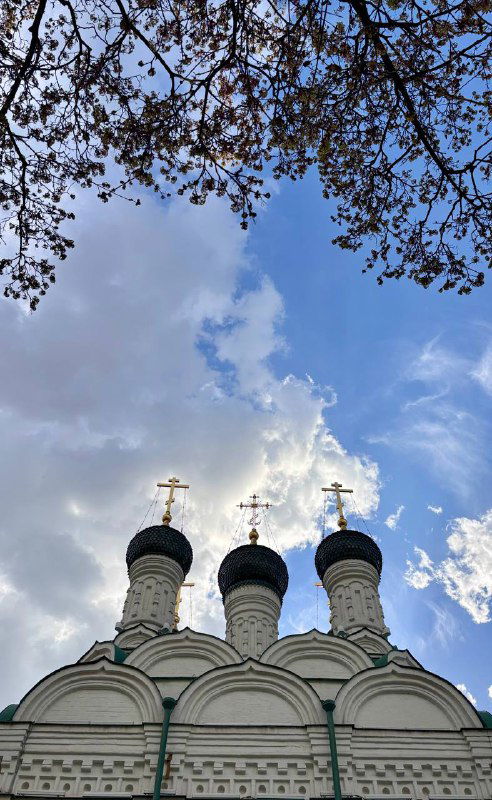 Фронтальный вид куполов и неба над церковью, деревья с цветением по краям кадра, контрастная весенняя палитра и архитектурные детали.