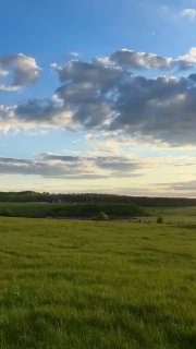 Широкая степная долина с зелёными посевами под драматичными облаками, поле и дальний лес — вид на закате.