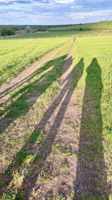 Длинные тени трёх человек, идущих по тропе через травяной склон; тёплое вечернее солнце и мягкая зелень вокруг.