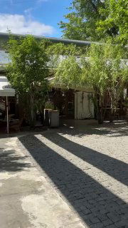 Летний дворик Yauza place: мощёная дорожка, тень от деревьев и открытая площадка у входа, вид на наружную часть заведения в солнечный день.