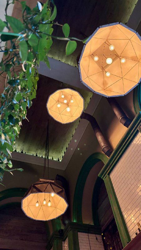 Подвесные светильники и растущие растения на потолке в ресторане Christian — элементы освещения и декора, создающие атмосферу заведения на Кутузовском