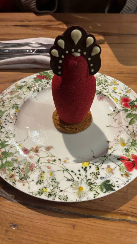 Необычный десерт в форме яркого красного элемента с шоколадной декорацией, подан на фарфоровой тарелке с цветочным рисунком.