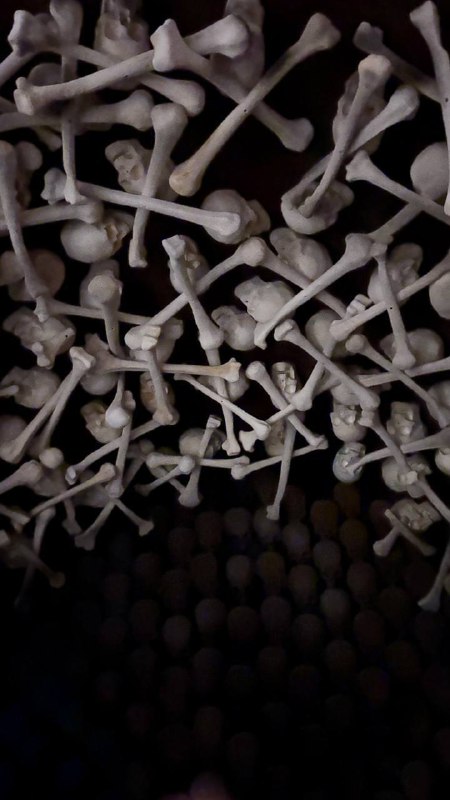 Деталь интерьера с инсталляцией из стилизованных костей или белых скульптурных элементов — необычный декоративный элемент зала