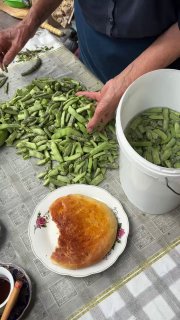 Гора нарезанных стручков фасоли на столе рядом с тарелкой и чашкой — домашняя сервировка и рабочий процесс на кухне бабушки.