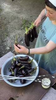 Женские руки держат длинные баклажаны в полиэтиленовых бутылках, рядом большая миска с баклажанами — подготовка овощей для жарки на углях.