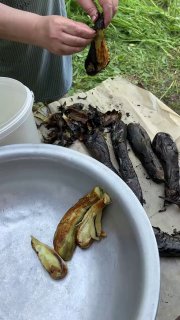 Почерневшие от огня баклажаны после запекания на костре, очищенные кожура и мякоть в миске — процесс приготовления овощной основы хороваца.