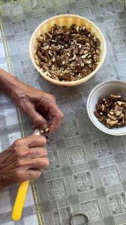 Ближайший план рук, чистка и переборка грецких орехов на столе, миски с очищенными частями и скорлупой вокруг.