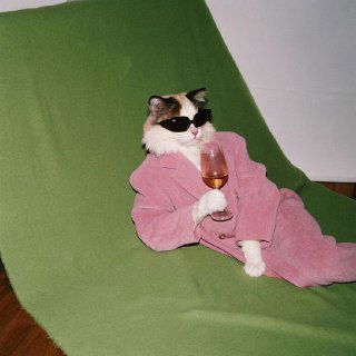 Почему заказчики думают, что все копирайтеры бездари