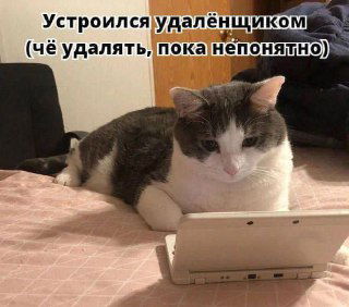 Почему клиенты возвращаются к прежним исполнителям