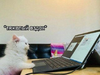 Ситуация хелп: три формулы для текста при дедлайне