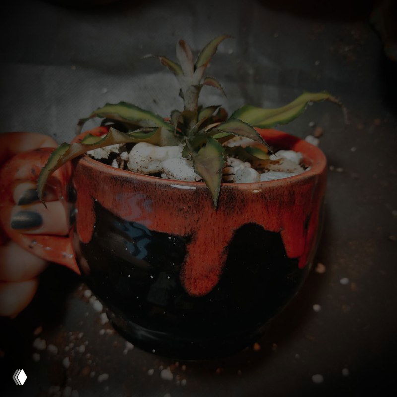 Керамическая кружка с растением в виде мини-горшочка, тёплая глазурь и небольшое украшение, показано использование изделия в быту.