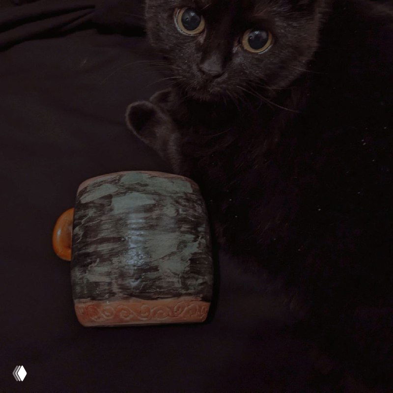 Керамическое изделие лежит рядом с чёрным котом на тёмной поверхности; видно внешнюю глазурь с мятно-тёмными штрихами и фактуру стенки чаши.