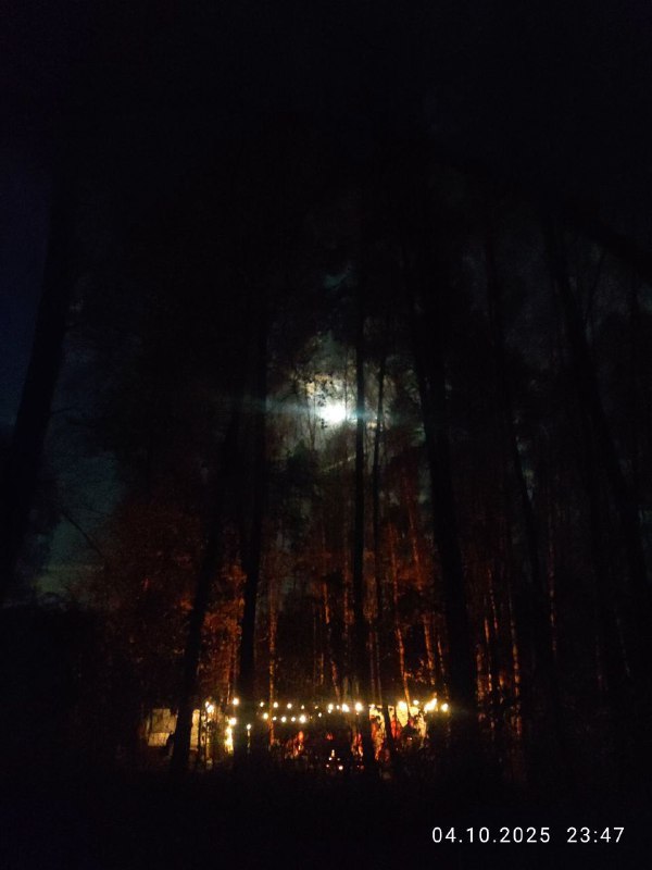 Опушка леса ночью: мерцающие огни и луна сквозь ветви, вид на удалённую музыкальную тусовку и силуэты людей под деревьями.