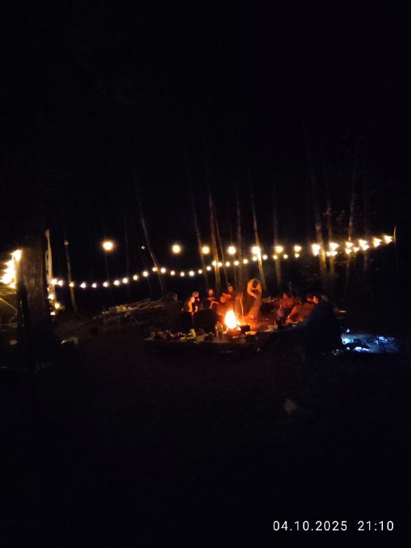 Костёр на лесной поляне: люди вокруг огня, гирлянды над лагерем и тёплое свечение в ночи, разговоры и музыка в кадре.