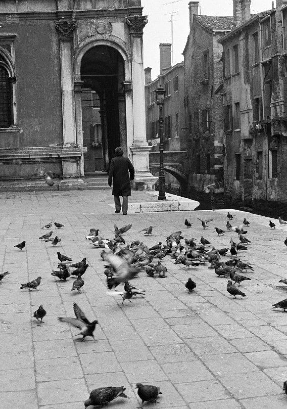 Черно-белое фото площади в Венеции, силуэт человека у колонн и стая голубей в прыжке — ощущение пустоты и тревожного ожидания в кадре.