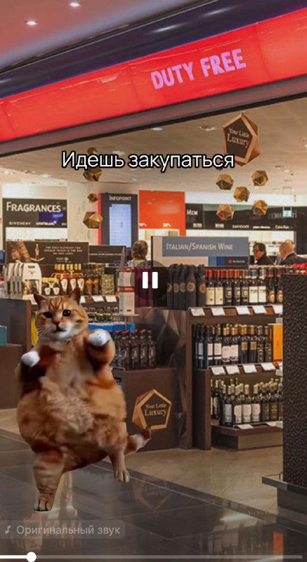 Динамичный кадр с анимированным грызуном в магазине duty free — пример обыгрывания мема в ролике таможни, юмористический визуал.