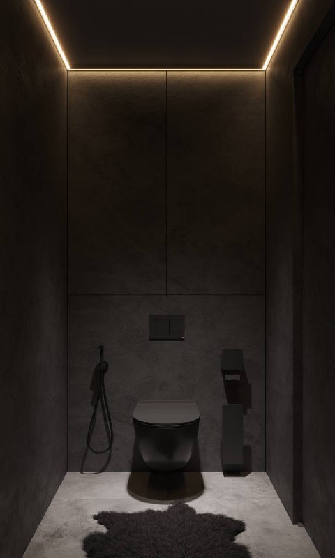Вид на гостевой санузел в чёрных матовых тонах: унитаз, смеситель-биде и строгая потолочная подсветка, подчёркивающая пещерную глубину пространства.
