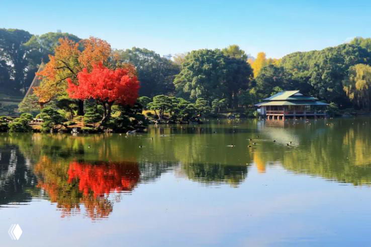 "Земля Богов" — проект ученицы Веры