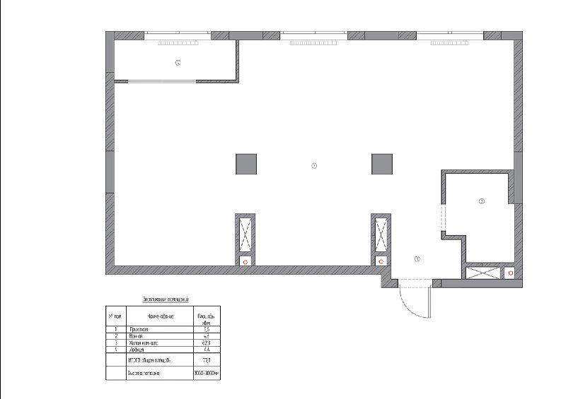 Исходный черновой план помещения без перегородок: открытое пространство с колоннами и отмеченными мокрыми зонами, основа для дальнейшей планировки.