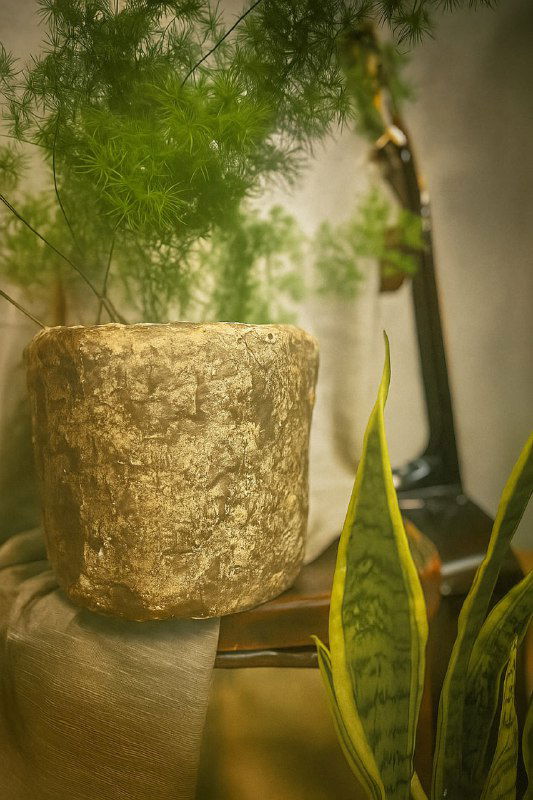 Топ-3 горшков для холодного подоконника