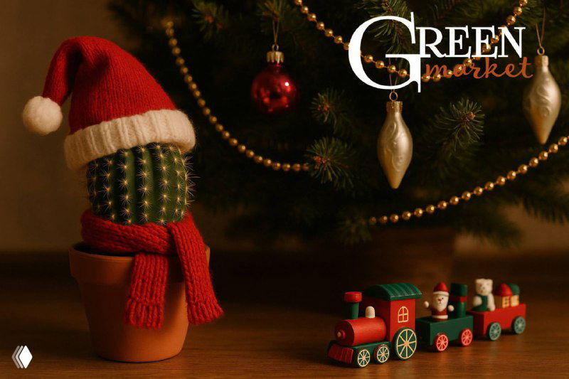 Как безопасно довезти растение зимой с нашего маркета