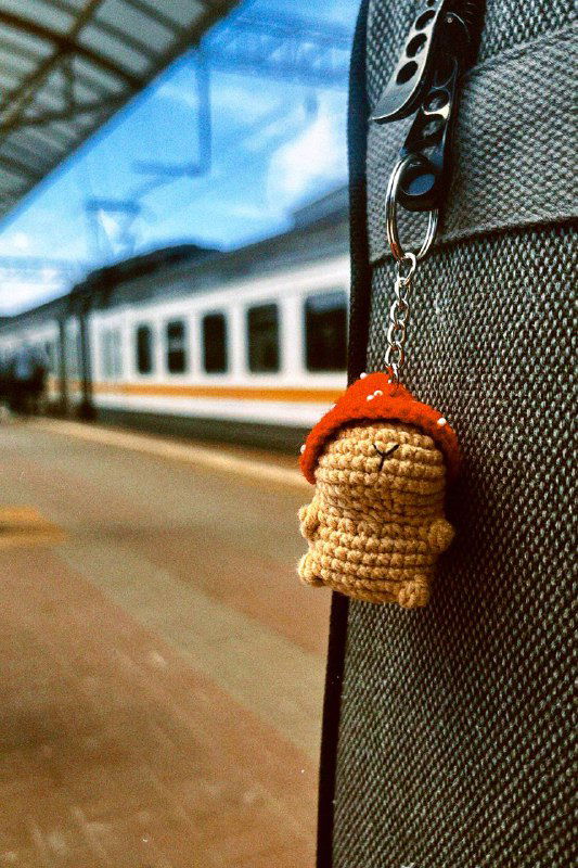 Капибарик и поездка на 28-й фестиваль «Мир Гитары»