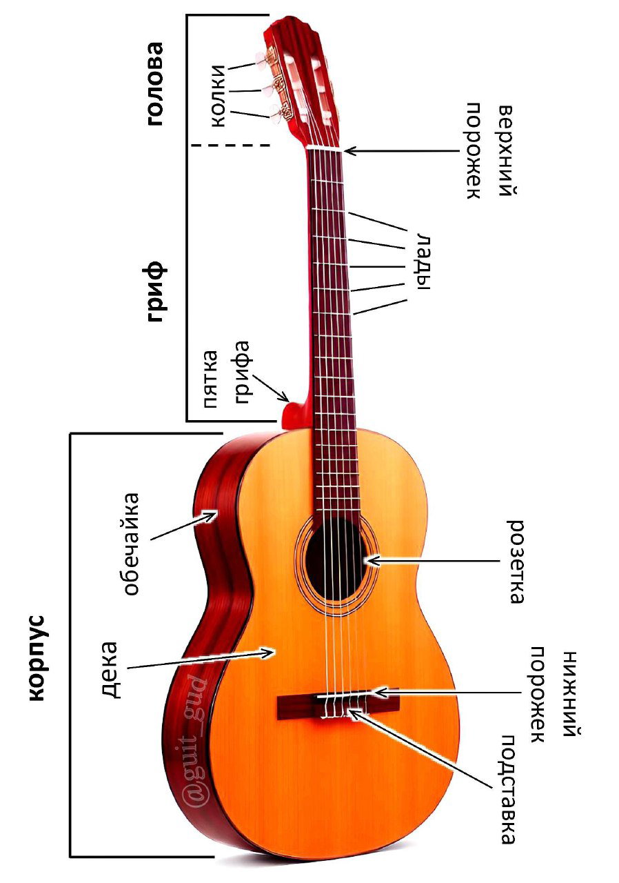 Внешнее устройство гитары
