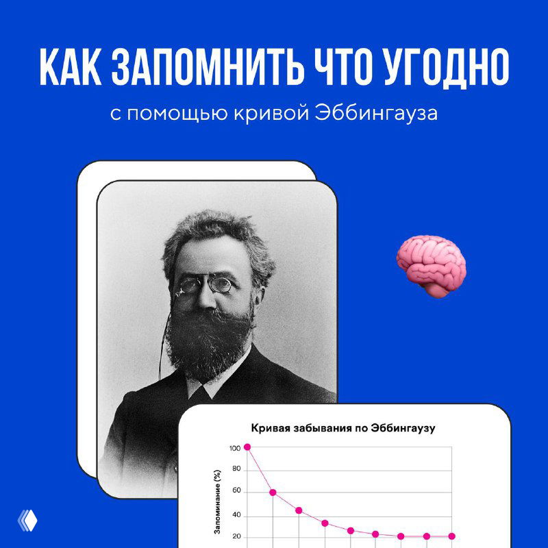 Как запомнить что угодно с помощью кривой Эббингауза