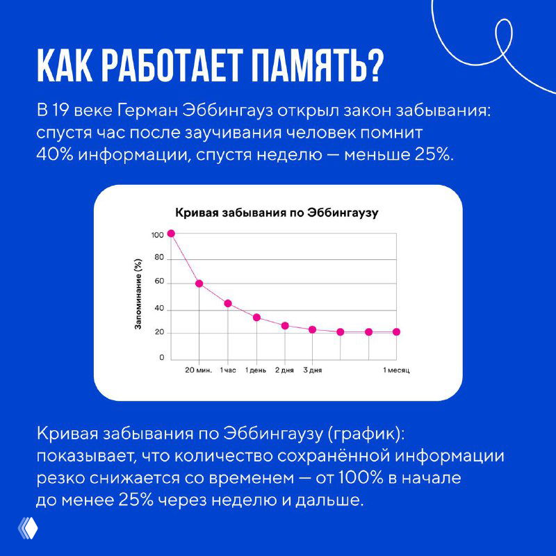 Инфографика с заголовком «Как работает память?» и графиком кривой забывания Эббингауза, показывающим падение удержания информации со временем.