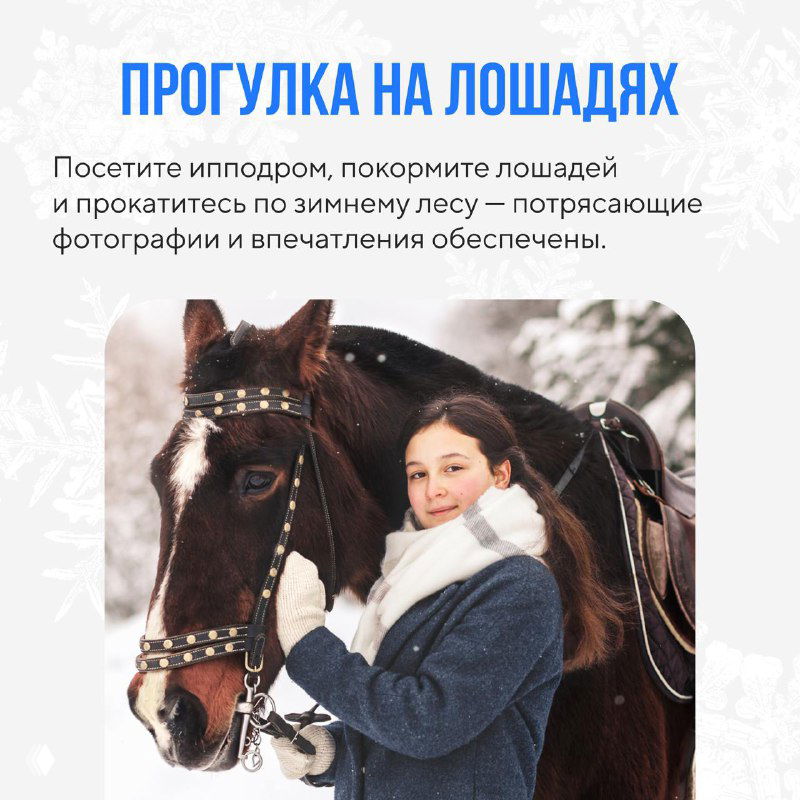 Слайд «Прогулка на лошадях»: предложение посетить ипподром или покормить лошадей для ярких впечатлений и фотографий зимой.