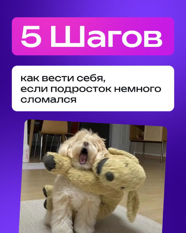 Обложка с заголовком «5 Шагов» и фотографией маленькой собаки с игрушкой, визуальная метафора поддержки и заботы для родителей подростков.