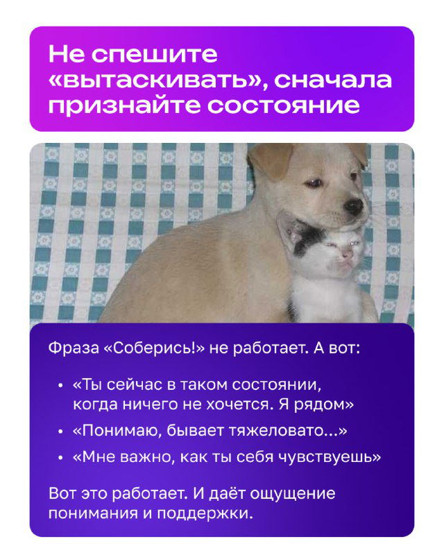 Слайд с собакой и текстом о признании состояния: иллюстрация совета не торопиться «вытаскивать», а сначала принять эмоции подростка и дать поддержку.