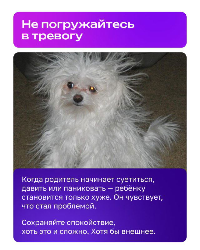 Слайд с испуганной собакой и текстом о том, чтобы не погружаться в тревогу, сохранять спокойствие и обеспечивать поддержку подростку.