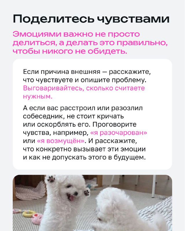 Слайд «Поделитесь чувствами»: рекомендации по вербализации эмоций, фото двух белых собак на светлом фоне и подсказки для родителей, как поддержать разговор.