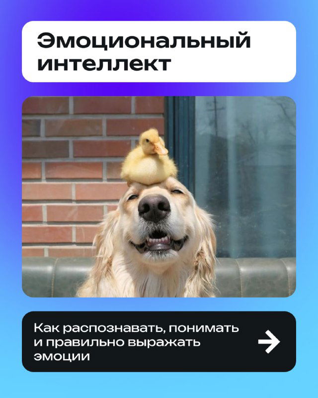 Эмоции — не слабость, а суперсила