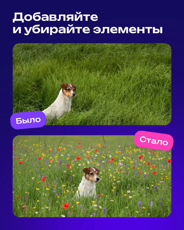 Добавление и удаление элементов: до/после — собака на зелёной лужайке и тот же кадр с цветущим полем; пример аккуратного встраивания объектов и редактирования фона.