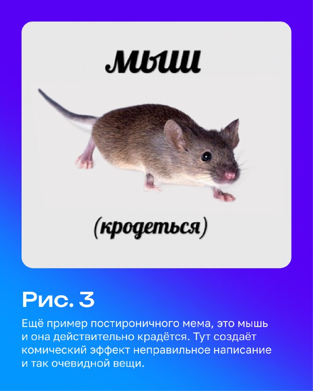 Изображение мыши с подписью «(кродется)» в стиле постироничного мема — пример неверного написания и абсурдного эффекта, вызывающего смех.