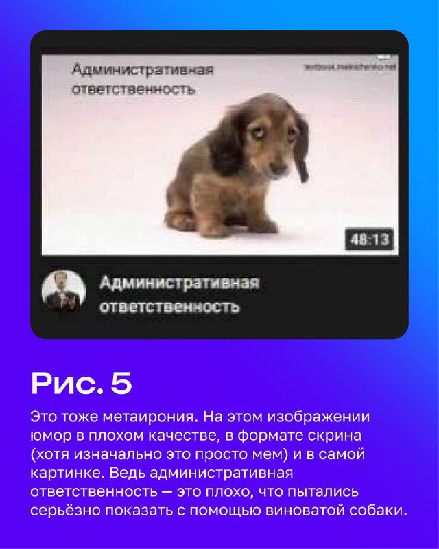 Скриншот превью видео с грустной собакой и заголовком «Административная ответственность», пример мемов в формате скрина и метаиронии.