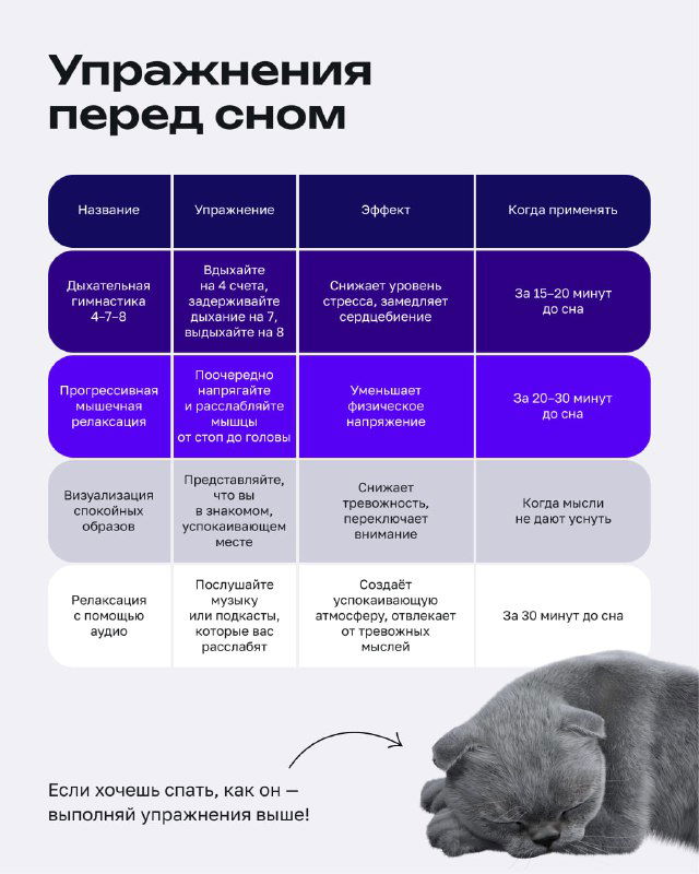 Инфографика с набором упражнений перед сном: дыхательные практики, лёгкая растяжка и ритуалы для расслабления перед отдыхом.