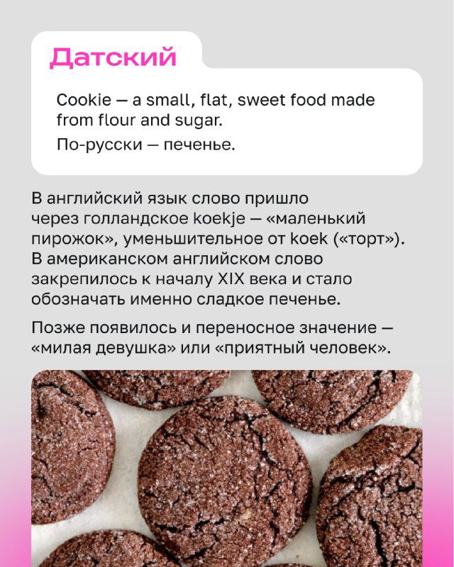 Фотография шоколадного печенья крупным планом на тарелке; иллюстрация карточки о слове cookie и его заимствовании в английском