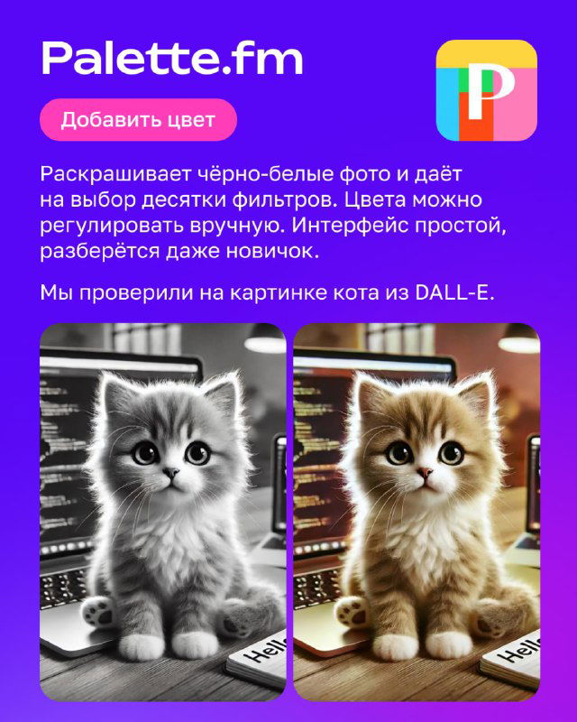 Инфопанель о Palette.fm: пример раскрашивания чёрно‑белого фото кота в цветное, показаны «до» и «после», подсказки по выбору цветов и фильтров.